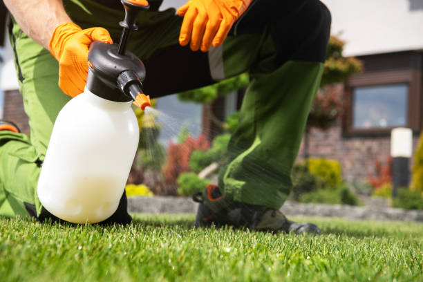 Best Wildlife Control Services  in Peabody, KS