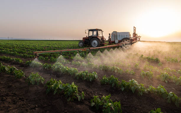 Best Commercial Pest Control Services  in Peabody, KS