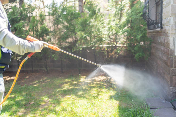 Best Pest Removal Services  in Peabody, KS