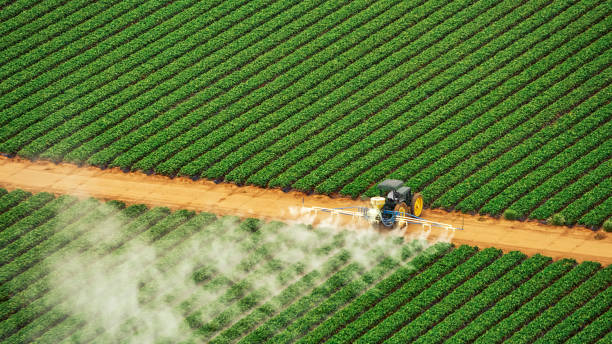 Best Best Pest Control Companies  in Peabody, KS