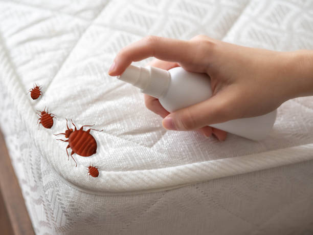 Best Residential Pest Control  in Peabody, KS