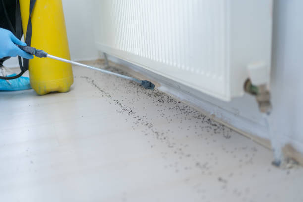 Best Affordable Pest Control Services  in Peabody, KS