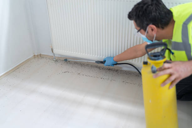 Best Mosquito Control Services  in Peabody, KS