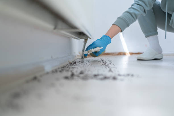 Best Insect Control  in Peabody, KS