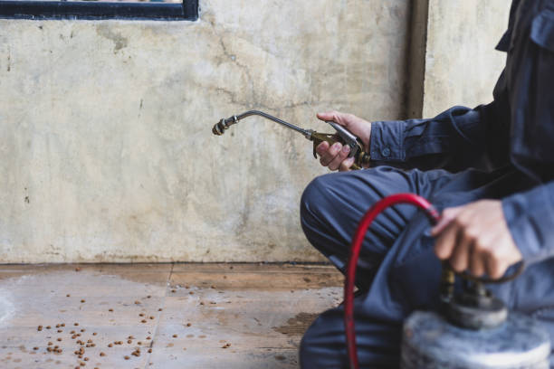 Best Best Pest Control Companies  in Peabody, KS