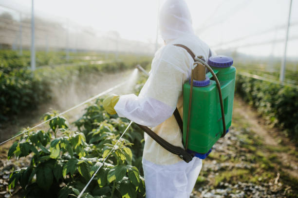 Best Best Pest Control Companies  in Peabody, KS